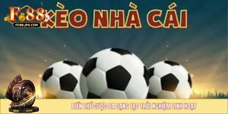 Biến thể cược đa dạng tạo trải nghiệm linh hoạt