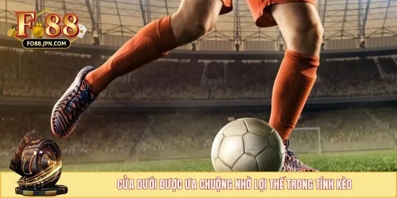 Cách Bắt Kèo Cửa Dưới - Lợi Nhuận Bùng Nổ, Không Sợ Rủi Ro 3 Cửa dưới được ưa chuộng nhờ lợi thế trong tính kèo