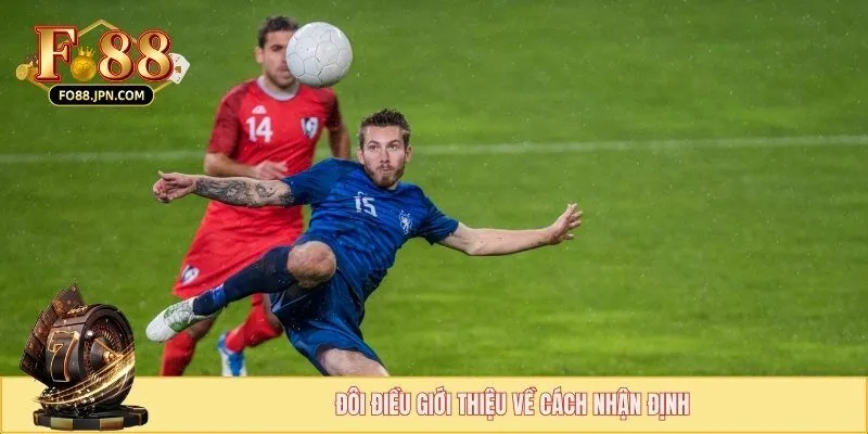 Một vài thông tin về cách nhận định phong độ đội bóng